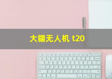 大疆无人机 t20